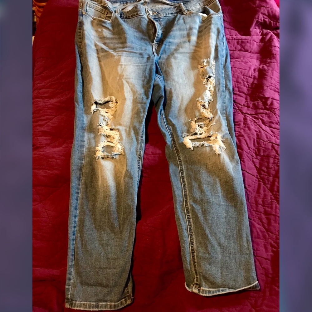 Distressed Eunina Jeans, Size 20.